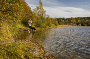 Canadameer, Drents Friese Wold