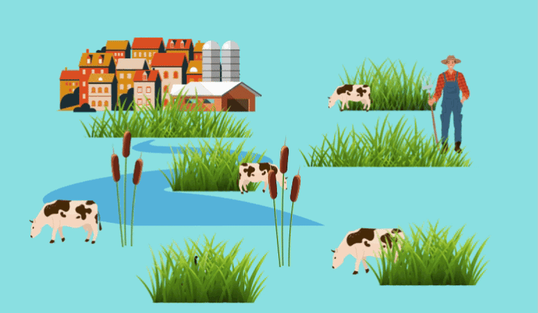 Ginder Vitaal Platteland