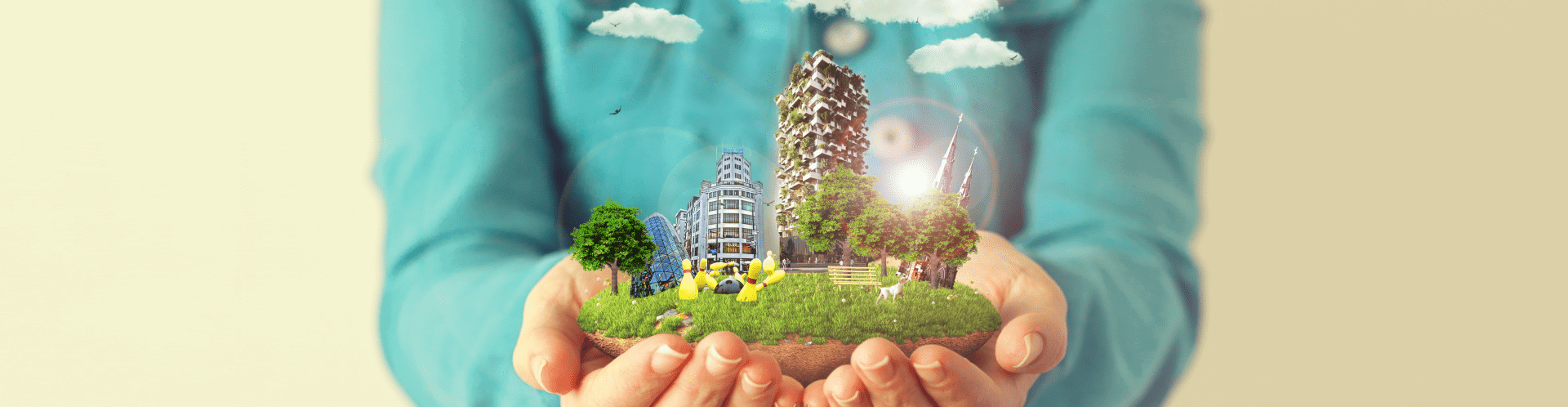 Project detail banner