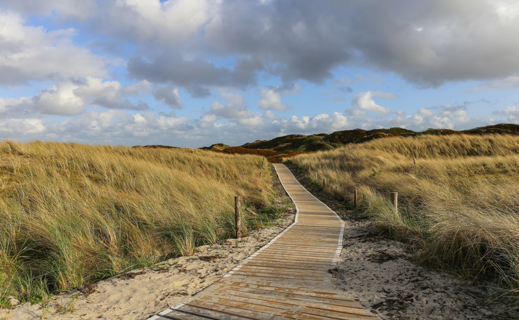 Grass G4b25eb3e2 1920